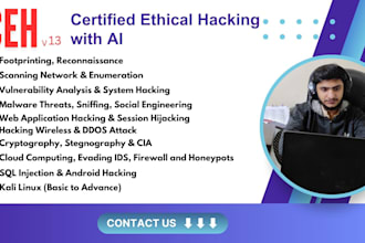 train you in cyber security ceh,chfi using kali and windows
