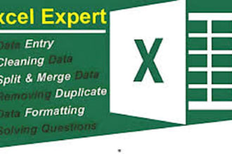 clean, format, merge, split excel data