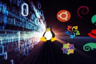 provide linux servers in top tier countries