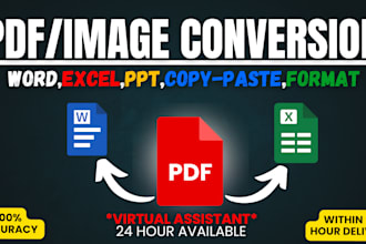 convert pdf to word, pdf to excel or data entry in 24 hours