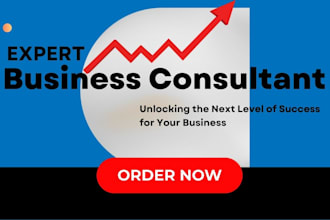 business consultation coaching section