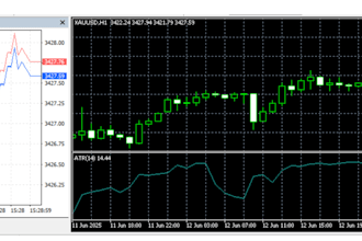 create expert advisor for metatrader 4, metatrader 5, forex