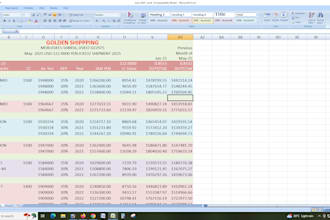 do accurate excel data entry, cleanup and formatting