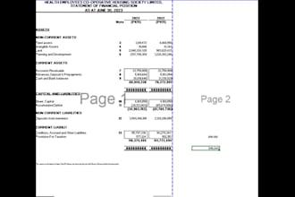 professional bookkeeping tax filing and excel reports