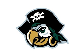 design custom stevenson school athletics logo