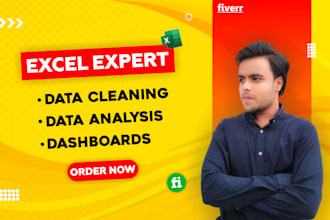clean, format, and analyze your data professionally