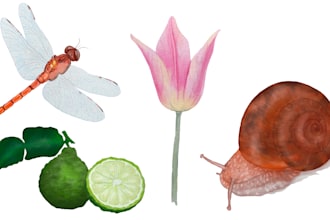 create a digital watercolor botanical illustration of plants, fruits, flowers