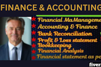 do accounting and finance assignment and financial analysis report