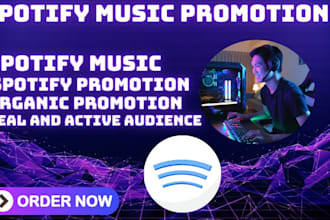 setup and run ads campaign to promote your spotify music