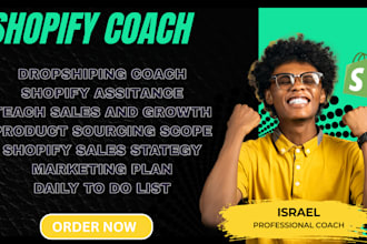 be your shopify coach consultation shopify guide build successful ecommerce shop
