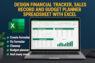 design financial tracker, sales record and budget planner spreadsheet with excel