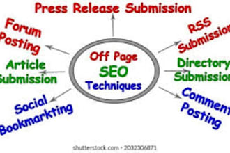 provide monthly off page SEO service