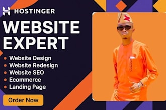 hostinger website design hostinger website redesign wordpress website design