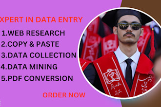 do data entry, web research, convert pdf to word,