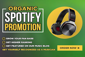 do track album sound soundcloud spotify organic viral music track promotion