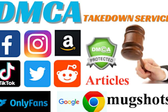 permanently remove online content,copyright,defamatory,mugshots,articles,cases