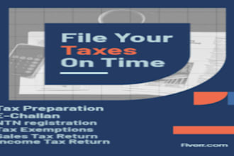 prepare your income and sales tax returns professionally