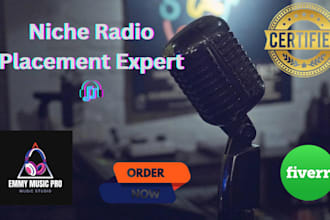 promote song on spotify playlist, curated radio airplay and music PR campaign