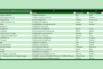 do german lead generation, excel data entry, web research, business, sales leads