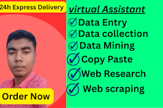 do data entry, data typing, web research and web scraping