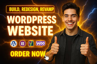 design, redesign, build, rebuild any kind wordpress business website quality 24h