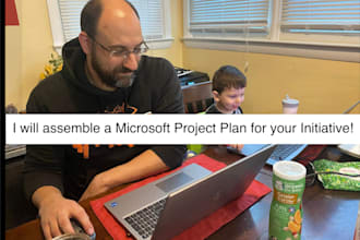 build a high quality ms project plan for your project