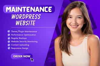 create wordpress website and website maintenance or support