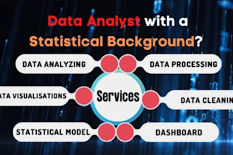 do professional data entry, analysis, cleaning, and data engineering