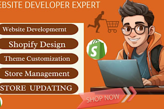build shopify store ecommerce website dropshipping store