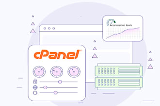 fix and setup linux server, cpanel plesk wordpress vps dns and hosting issues