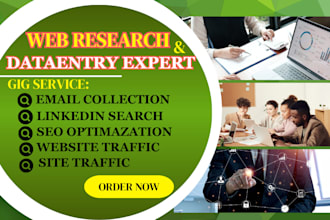 your virtual assistant for web search and data entry and linkedin collections