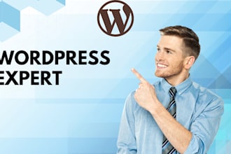 create wordpress website or plugin support