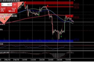 build expert advisor, forex trading bots, forex eas, forex bot, mt4 and mt5