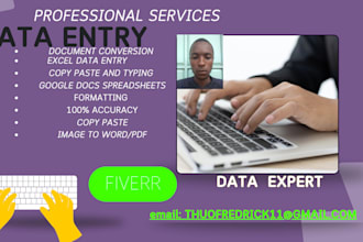 expertly handle data entry, data engineering, and excel task need
