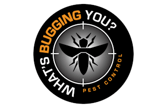design professional pest control, pesticide, cleaning and pharmaceutical logo