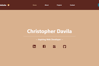 make presentable professional websites