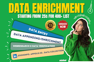 clean, enrich, and append your CRM or excel data professionally