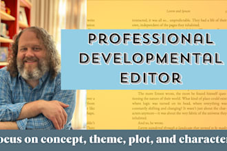 be your developmental editor