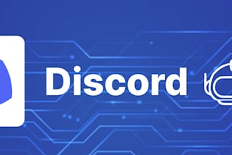 create a cheap custom discord bot for you