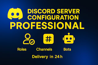 design a professional and aesthetic discord server