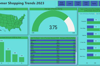 create an attractive dashboards and reports using power bi and excel
