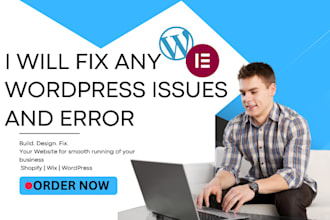 update, manage, maintain, optimize, fix  any wordpress website error