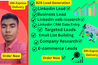 do b2b lead generation,lead mining, email list building and linkedin prospecting