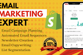 set up professional email flows and campaigns via klaviyo or mailchimp