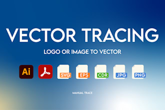 professionally trace your logo or image into a clean vector