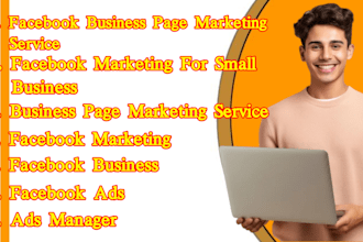 set up and manage targeted facebook ad campaigns for local businesses