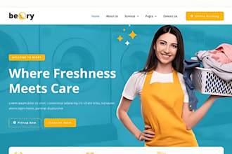 build laundry supplies website, bleach, fabric softener, laundry detergent store