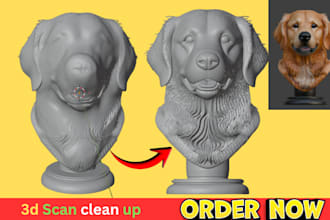 3d scan cleanup, fix mesh, stl repair, 3d head, color stl file, 3mf, 3d printing