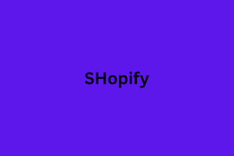 set up shopify dropshipping store audit