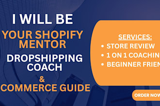 do product research, marketing strategy and store optimization for business